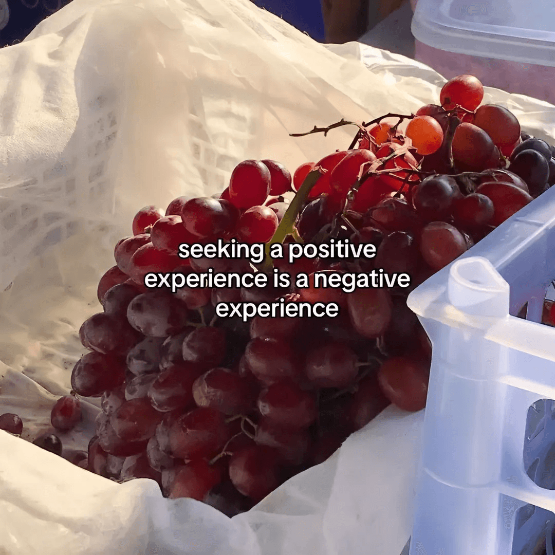 @regulatednervoussystem slide 1